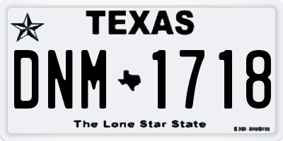 TX license plate DNM1718