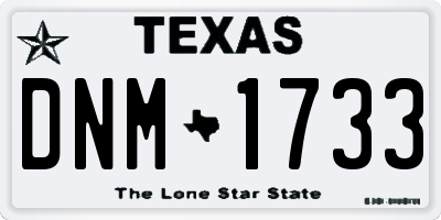 TX license plate DNM1733