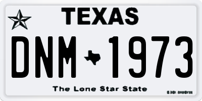 TX license plate DNM1973