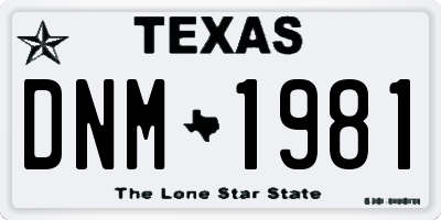 TX license plate DNM1981