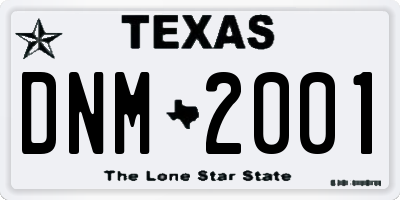TX license plate DNM2001