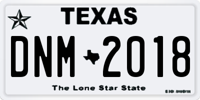 TX license plate DNM2018