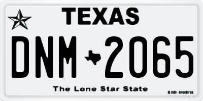 TX license plate DNM2065