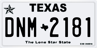 TX license plate DNM2181