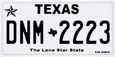 TX license plate DNM2223