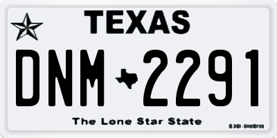 TX license plate DNM2291