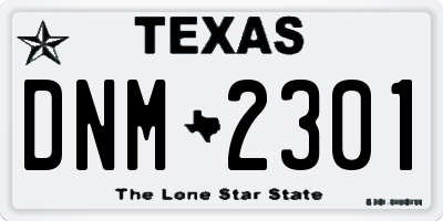TX license plate DNM2301