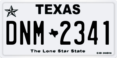 TX license plate DNM2341