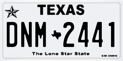 TX license plate DNM2441