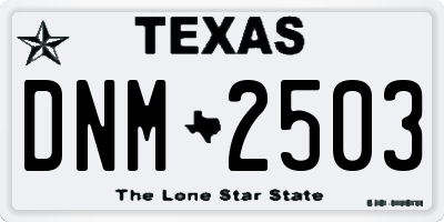 TX license plate DNM2503