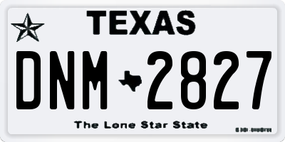 TX license plate DNM2827