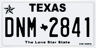 TX license plate DNM2841