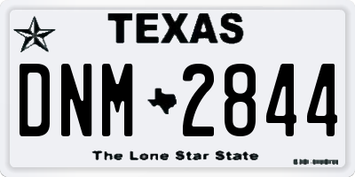 TX license plate DNM2844