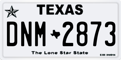 TX license plate DNM2873