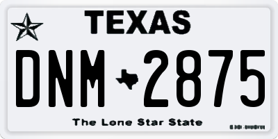 TX license plate DNM2875
