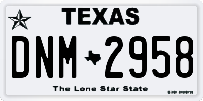 TX license plate DNM2958