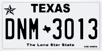 TX license plate DNM3013
