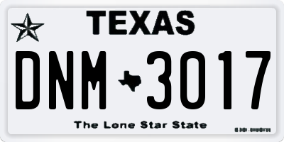 TX license plate DNM3017
