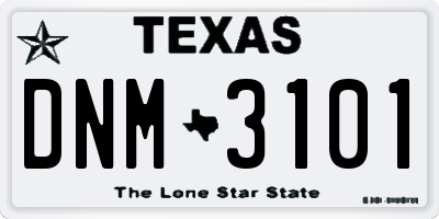 TX license plate DNM3101