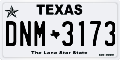 TX license plate DNM3173