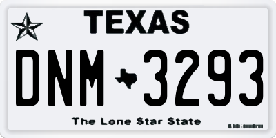 TX license plate DNM3293