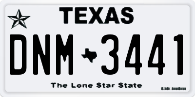 TX license plate DNM3441