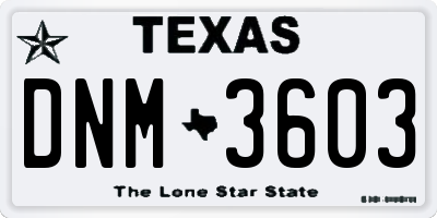 TX license plate DNM3603