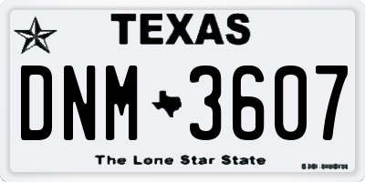 TX license plate DNM3607