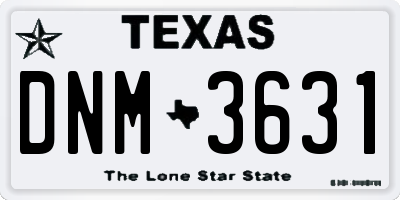 TX license plate DNM3631