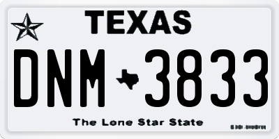 TX license plate DNM3833