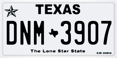 TX license plate DNM3907