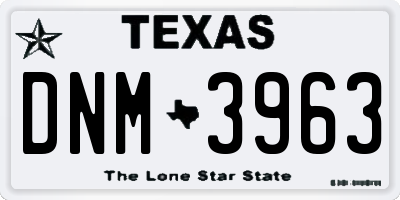 TX license plate DNM3963