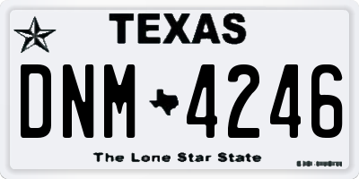 TX license plate DNM4246