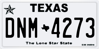 TX license plate DNM4273