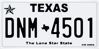 TX license plate DNM4501
