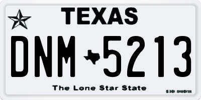 TX license plate DNM5213