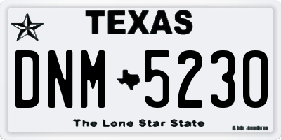 TX license plate DNM5230