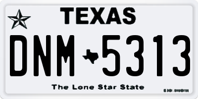 TX license plate DNM5313