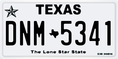 TX license plate DNM5341