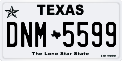 TX license plate DNM5599