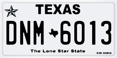 TX license plate DNM6013