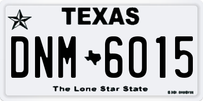 TX license plate DNM6015