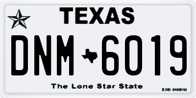 TX license plate DNM6019