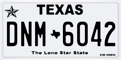 TX license plate DNM6042