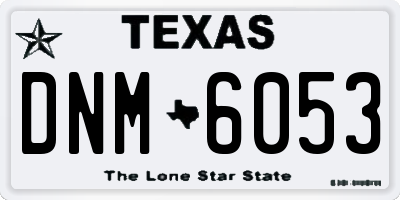 TX license plate DNM6053