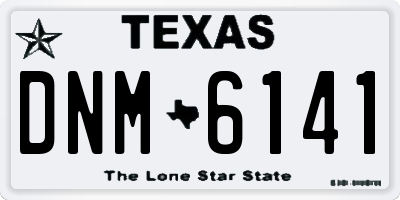 TX license plate DNM6141