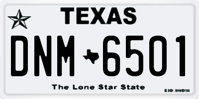TX license plate DNM6501