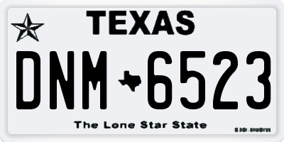 TX license plate DNM6523