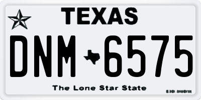 TX license plate DNM6575