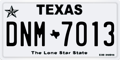 TX license plate DNM7013